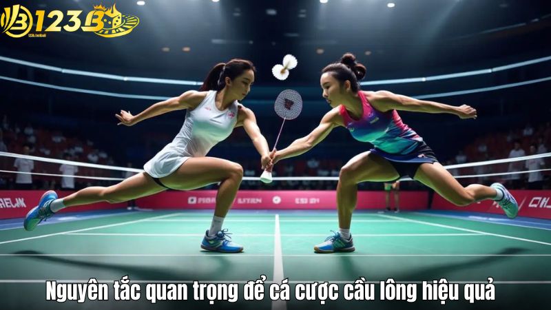 Nguyên tắc quan trọng để cá cược cầu lông hiệu quả