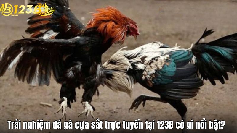 Trải nghiệm đá gà cựa sắt trực tuyến tại 123B có gì nổi bật?